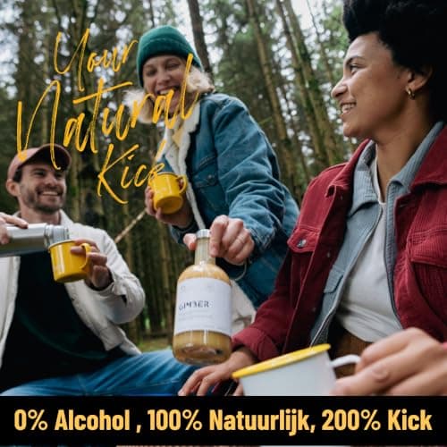 Gimber Sweet Lilly | jus de gingembre bio 700 ml | Boisson sans alcool au 100% mélange gingembre, fruit la passion, ananas & curcuma Concentré première qualité