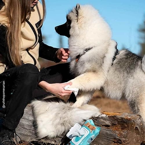 Vetocanis Lingettes Nettoyantes Chien et Chat x72 , Lingettes nettoyantes Oreilles, Yeux et Pattes de Chien et Chat Toutes Races et Tous Âges , Formule à base d'Actifs Végétaux, grand