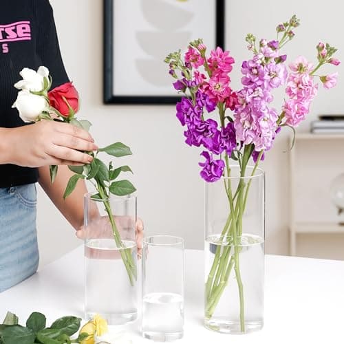 Winter Shore Vase Transparent Verre [Lot de 4] - Vase Cylindrique en Verre de 4 Tailles - Vase Haut pour Plantes, Fleurs, Fausses Fleurs, Herbe de Pampa, Bougies - Décoration Fêtes, Maison, Mariage