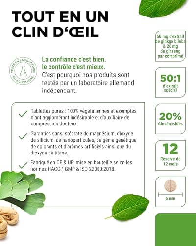 Ginkgo + Ginseng - 365 Comprimés - Extrait Spécial - Hautement Dosé - Ginkgo Biloba + Ginseng Coréen - Qualité Premium - Vegan