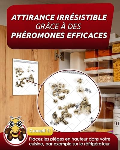 PIC Anti Mites Alimentaires – 12x Piege a Pheromone pour Cuisine et Placard | Sans insecticide, sûr pour les aliments, efficace jusqu'à 8 semaines, détection précoce dans placard et garde-manger