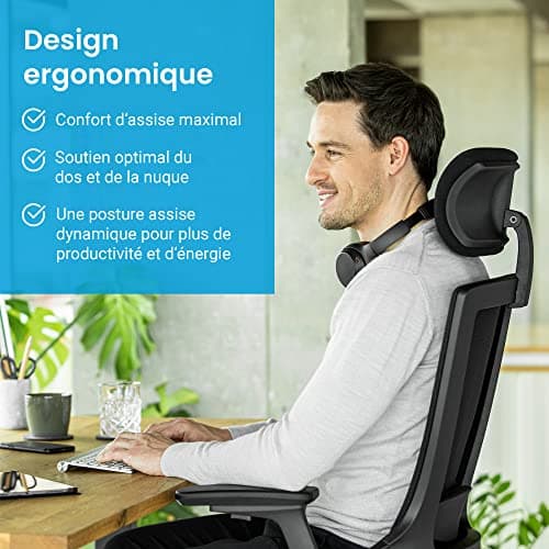 Ergotopia Nextback Chaise de Bureau Ergonomique – Fauteuil pivotant avec Appui-lordose réglable & accoudoirs – Chaise Ergonomique avec Appui-tête – Fauteuil de Bureau en Mesh