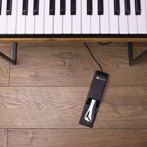 M-AUDIO SP-2 Pedale de Sustain Universelle