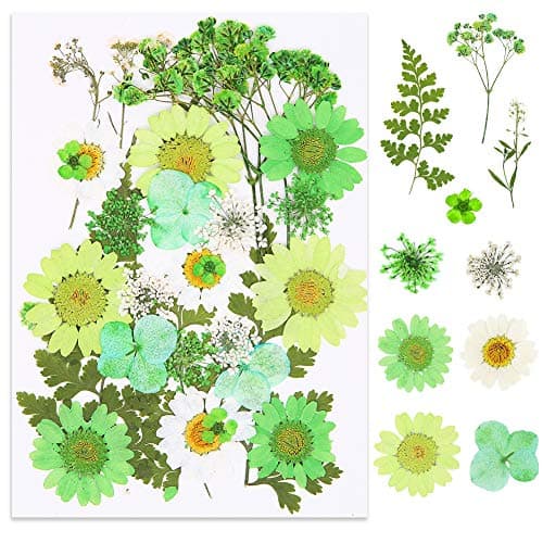 Lot de 65 véritables fleurs séchées pressées avec plusieurs pétales de fleurs séchées avec 5 marque-pages et pince à épiler pour la fabrication de bougies, loisirs créatifs, bijoux en résine, nail art