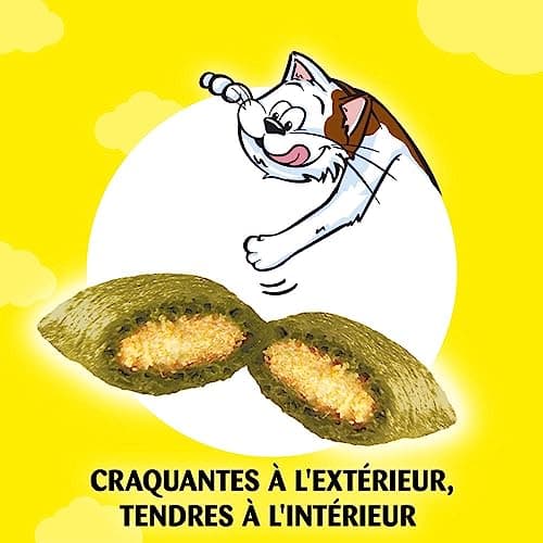 Catisfactions Friandises pour Chat – Saveur Herbe à Chat – Récompenses pour Chats Adultes et Chatons – 60 g (Lot de 6)