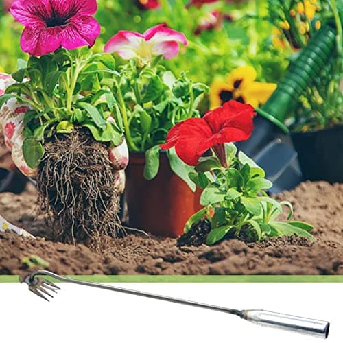 Hongjingda Désherbeur manuel en acier inoxydable - 4 dents - Pour le jardin, la cour, la terrasse
