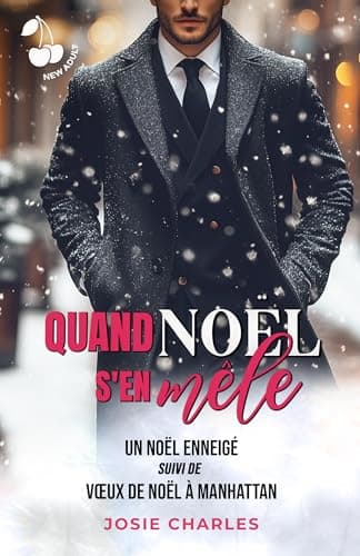 Quand Noël s'en mêle: ROMANCE NEW ADULT