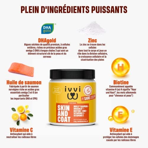 ivvi - Skin & Coat - Complément Alimentaire pour Chien, Anti-Démangeaisons, Fourrure Douce et Brillante - Oméga 3, Huile de Saumon, DHAgold, Vitamines C, E et Zinc - 60 Friandises au Saumon