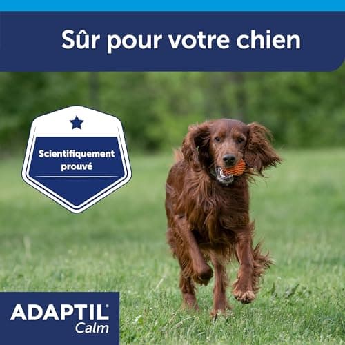 ADAPTIL Calm – Anti-stress pour chien – Collier Moyens et Grands Chiens – Taille M/L