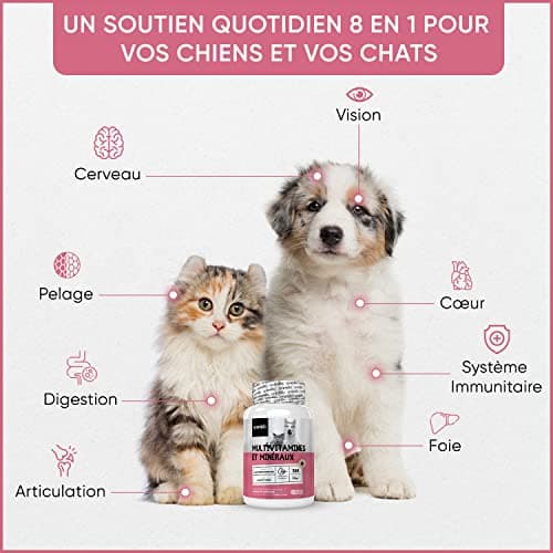 Vitamine Chien & Chat 365 Comprimés - 18 Minéraux & Vitamine pour Chien : Vitamine C, D, Vitamines B, Fer, Zinc, Calcium - Pour Santé Globale, Immunité, Peau, Poil, Articulations, Os, Digestion