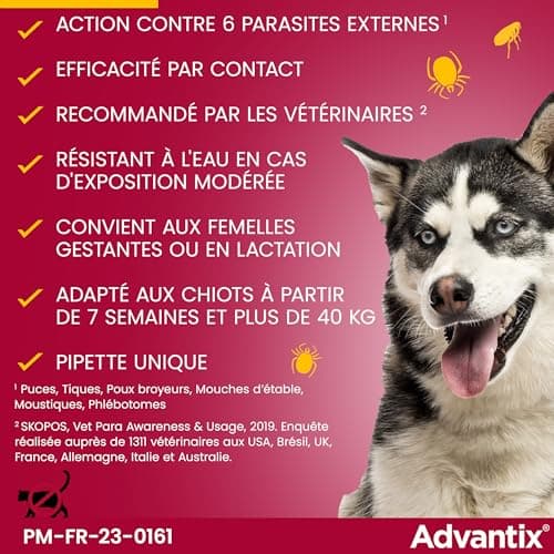 Advantix Chien Moyen entre 10 et 25 kg – Pipettes pour chien contre 6 parasites – Traitement et protection pour votre chien pendant 4 semaines – 6 x 2,5 ml