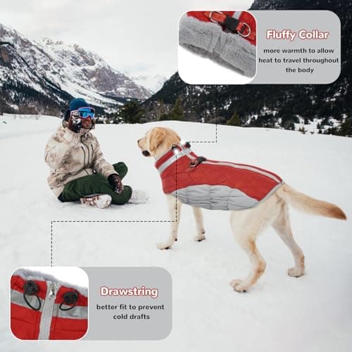 Hjumarayan Manteau Chien - Manteau Chien avec Harnais Réfléchissant Manteaux d'hiver pour Chiens Manteau Chien Imperméable, Manteau Chien Petite Taille Manteau Bouledogue Francais - Rouge M