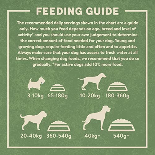 Harringtons Aliment Complet Riche en Agneau/Riz pour Chien 15 kg