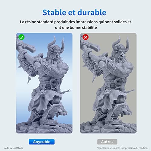[1000g Résine] ANYCUBIC Résine Imprimante 3D Standard UV 405nm, Durcissement Rapide, avec une Grande Précision et une Excellente Fluidité, Résine Photopolymère pour l'Impression 3D LCD/DLP/SLA (Gris)