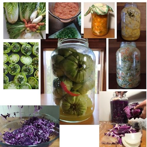 myFERMENTS Bocaux en Verre Avec Couvercle - Grand Mason Jar de 4.25 l- Bouteille à Large Goulot pour Infuser de Gros Morceaux de Fruits - Récipient Alimentaire Hermétique Sans Odeurs - Set de 2