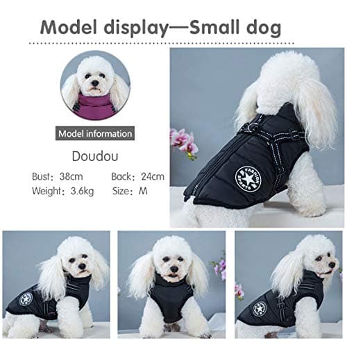 Gilet d’hiver avec harnais pour petits chiens, chats et chiots - Veste chaude