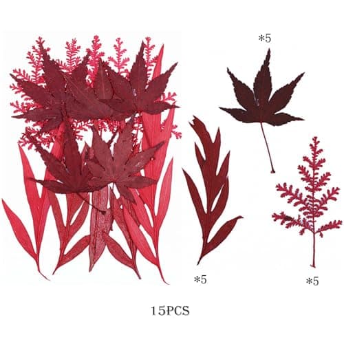 Cayway 73 Pièce Feuille D'érable Rouge Fleur Pressée Naturelle, Fleurs Pressé Séchées Naturelles Florales Naturelles Feuille de Fleurs Pressées pour Bricolage Résine Bijoux