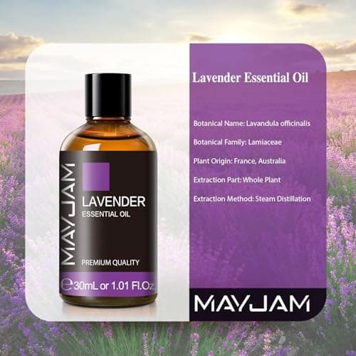 MAYJAM Huile Essentielle de Lavande 30ML de Haute Qualité pour Diffuseur, Humidificateur, DIY, Home, Wardrobes