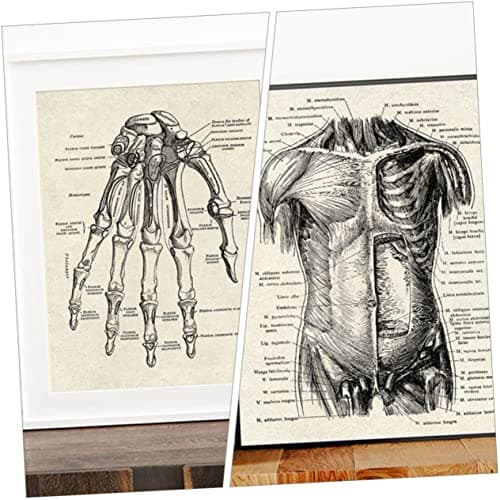 JEWEDECO 6 Pièces Anatomie Humaine Anatomique Posters Affiche D'anatomie D'apprentissage Tableau D'anatomie Apprentissage De La Planche Anatomique Tableau Anatomique Humain Black Papier