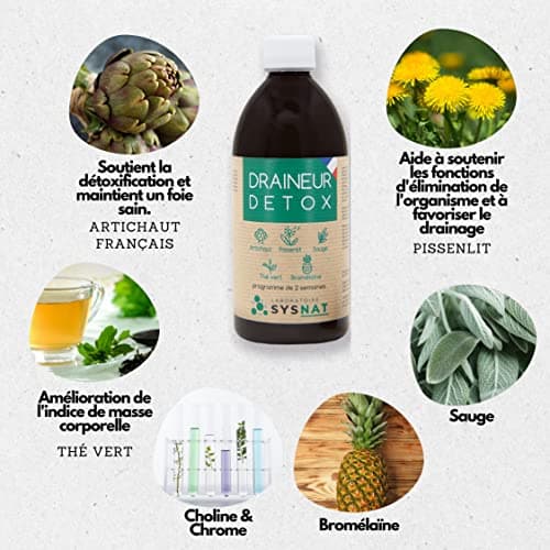 Detox • Diurétique • Draineur • Régime • Programme de 15 jours • Thé vert, Artichaut, Pissenlit, Sauge, Ananas - Bromelaine • 3 usines en France • 30 ans d'expertise • Laboratoire SYSNAT