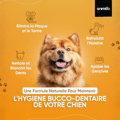Brosse a Dents Chien 3 Têtes,1 Doigtier, Kit Dentaire Dentifrice Chien 2 x 100g - Dentifrice Haleine Fraîche, Gout Menthe - Élimine Plaque Tartre & Mauvaise Haleine - Soins des Dents pour Chiens