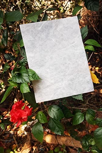 Lot de 25 feuilles de papier de mûrier blanc - Motif origami - Fabrication de cartes - 21,6 x 27,9 cm