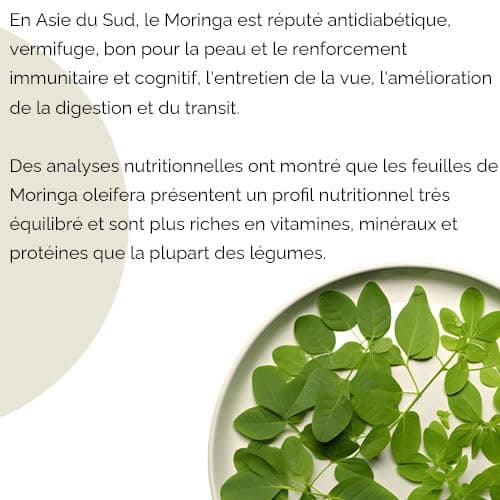 Herbes du Monde - Moringa BIO de qualité supérieur - Moringa oleifera Organic - Complément alimentaire en poudre Riche en Vitamine C - Nutrition Naturelle - 1 sachet de 100g Certifiée AB