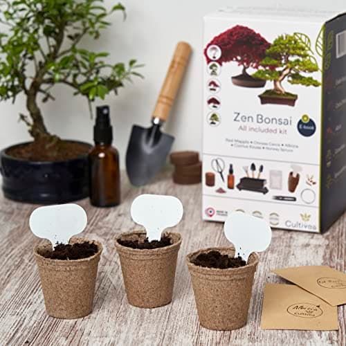 CULTIVEA® Kit Bonsaï Premium Prêt à Pousser - Jardinez et décorez - Entretien de vos bonsaïs et plantes naturel - Fil, Outils, Ciseaux Ronds, Petits Ciseaux Bonsai - Idée Cadeau Original