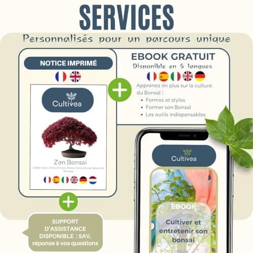 CULTIVEA® Mini Kit Prêt à Pousser Bonsaï – Graines Françaises 100% Écologiques - Jardinez et décorez - Idée Cadeau (Red Mapple, Chinese Cercis, Albizia, Cornus Kousa, Norway Spruce) - Made in France