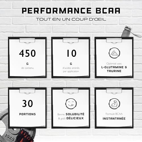 BCAA Performance - 450 g de poudre - BCAA instantanés + L-Glutamine + Taurine - Délicieux & super soluble - Acides aminés végétaliens - Ratio 2:1:1 - (Cola)