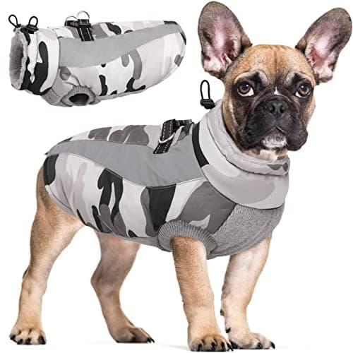 Hjyokuso Manteau Chien, Manteau pour Chien Doublé et Chaud, Manteaux d'hiver pour Chiens avec Fermeture à Glissière, Manteau Chien Imperméable, Veste Chien Hiver pour Petit/Grand/Moyen Chiens-Rris XS