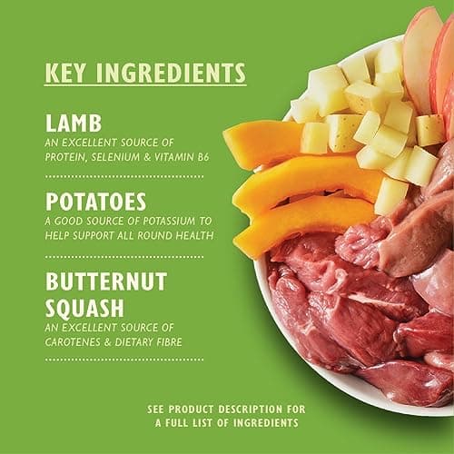 Lily's Kitchen Aliment humide naturel en boîte pour chiens adultes, recettes classiques, multipack (12 x 400g Conserve)