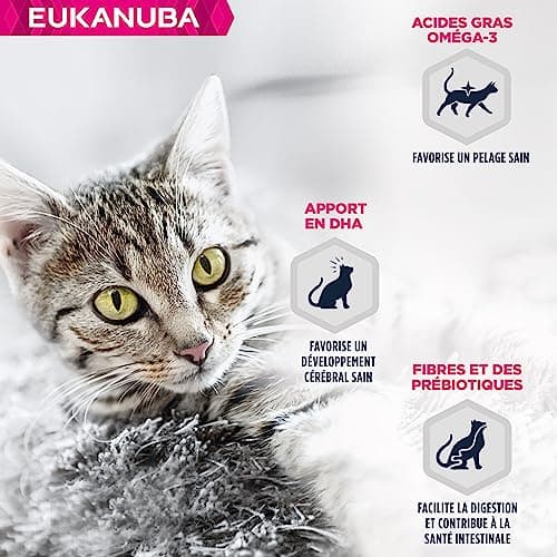 EUKANUBA Grain Free Croquettes pour Chaton - Riche en saumon - Apport en DHA, Sans OGM, colorants, arômes artificiels - 10 kg