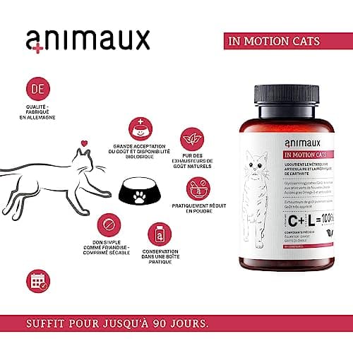 animaux Comprimés pour articulations pour Chats - 90 comprimés à mâcher - soutient Les articulations & Les os - Complément avec Moule Verte, Griffe du Diable & écorce de Saule in Motion Cats
