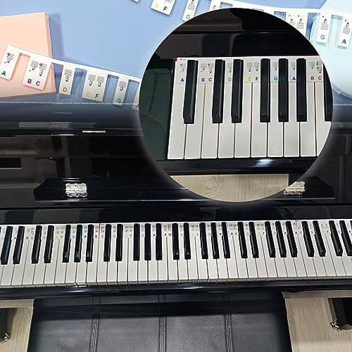 BDSHUNBF Étiquettes de Notes de Piano, Notes de Clavier de Piano Amovibles en Silicone, Autocollant Piano Convient Aux Pianos à 88 Touches, Aide Pour Les Débutants, Réutilisable, avec Boîte(Couleur)