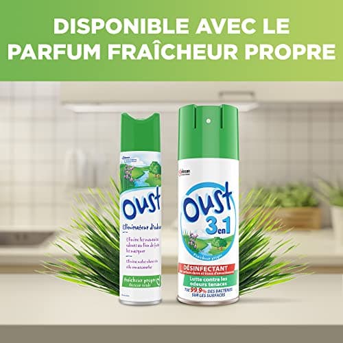 Oust Aerosol Fraicheur Propre Désodorisants - 300 ml