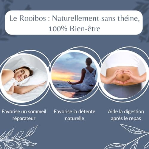 Rooibos Nature Bio - Infusion Vegan en Vrac, 100% Naturel, Sans OGM - Agriculture Biologique - Fabrication Française - Sachet 1 kg (500 Tasses)