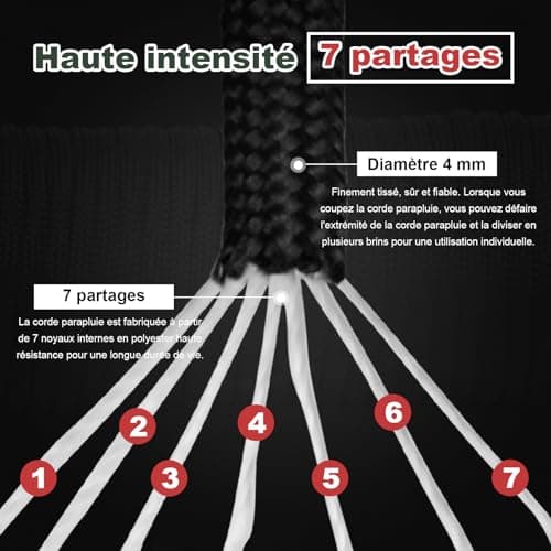 98ft/30 Mètres Nylon 4mm Paracorde kit 7 Brins en Nylon Corde Corde Multifonction pour Parachute Bracelet Set de Bracelet Paracord Cordelettes DIY Bracelet (ferreux, 4mm x 30m)