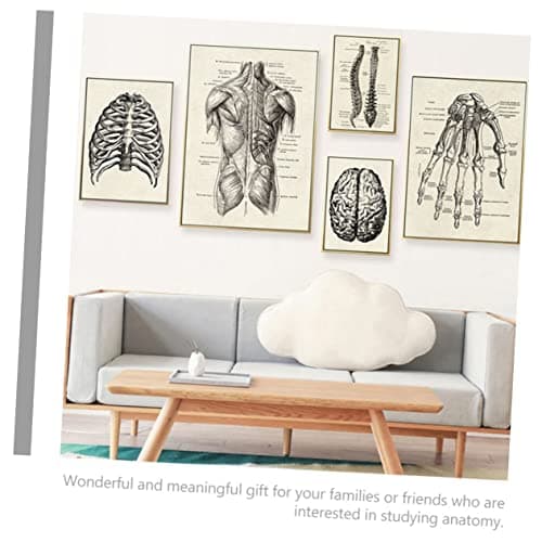 JEWEDECO 6 Pièces Anatomie Humaine Anatomique Posters Affiche D'anatomie D'apprentissage Tableau D'anatomie Apprentissage De La Planche Anatomique Tableau Anatomique Humain Black Papier