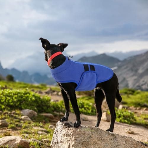 PUZAUKAL Pull pour Petit Chien,Pull-Overs pour Chien et Chat en Polaire Doux Veste Gilet Chien avec Harnais Pull Chaud pour Moyen Grand Chien Bleu(XS)