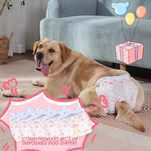 HezzLuv Lot de 3 Couches Réutilisables pour Chien Femelle, Lavables Culotte Menstruelle Chien avec 5 Couches Jetables pour Chien en Périodes physiologiques, Chaleur et Incontinence, Noir, S/M/L
