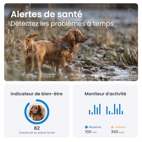 Tractive – Collier GPS pour chien - Élue Marque de l'Année - Localisation globale en direct - Alertes anti-fugue - Moniteur d'activité avec alertes de santé