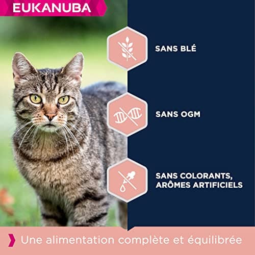 EUKANUBA – Croquettes Premium pour Chat Senior - Alimentation 100% Complète et Equilibrée - Riche en Riz – Au Poulet Frais – L-carnitine – Sans OGM, Sans Blé - Sac refermable – 2kg