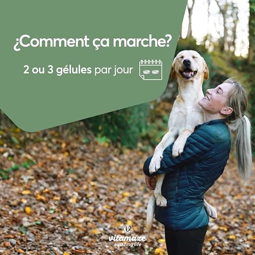 Moule Verte de Nouvelle Zélande 1500 mg - Omega 3 et Glycosaminoglycanes - 300 Gélules Poudre de Moules à Lèvres Vertes - Complément Alimentair pour Cartilage et Articulations