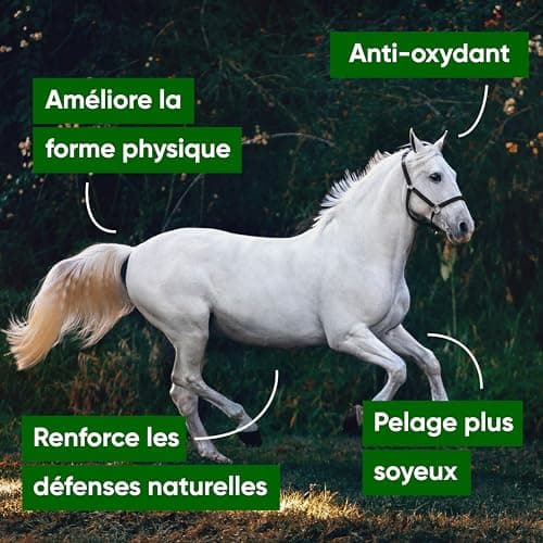 NUTRIALIFE Spiruline Bleue Phycocyanine Liquide pour Chevaux Pure 5000 MG/L - Boost Énergie, Résistance et Performance - Complément Alilmentaire Cheval 100% Naturel - Culture Française 500ml