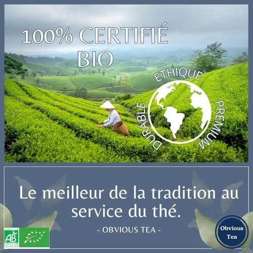 Rooibos Nature Bio - Infusion Vegan en Vrac, 100% Naturel, Sans OGM - Agriculture Biologique - Fabrication Française - Sachet 1 kg (500 Tasses)