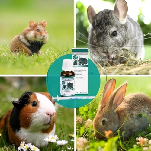 alfavet RodiCare Immun, Multipack, renforcement du système immunitaire pour Lapins, cochons d'Inde et Petits rongeurs, complément Alimentaire, 2 x 15 ML, seringue doseuse