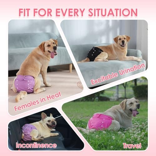 HezzLuv Lot de 3 Couches Réutilisables pour Chien Femelle, Lavables Culotte Menstruelle Chien avec 5 Couches Jetables pour Chien en Périodes physiologiques, Chaleur et Incontinence, Noir, S/M/L