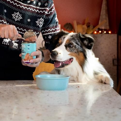 Edgard & Cooper Pâté Pour Chien, (Festive Dinde, 400g x 6), Savoureuse et Festive, Sans Céréales, Viande fraîche et protéines de qualité, Vrais ingrédients pour chiens, Hypoallergénique