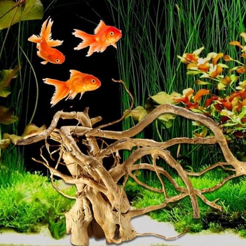 Fulenyi Plantes d'aquarium, Racine d'arbre en Bois flotté, décoration en Bois flotté, Branches en Bois Massif, décoration de Terrarium, Accessoires pour Petits Poissons